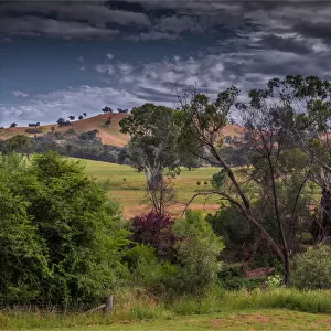 High Country scenery during summer, Mansfield district, Victoria, Australia