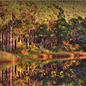 Lagoon reflections, Adventure bay, South Bruny Island, Tasmania