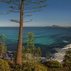 Looking toward Cemetery bay, Norfolk Island, South Pacific