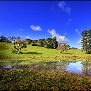 Mission valley scene, Norfolk Island