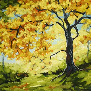 Morning Sunlight Glowing Behind Autumn Tree Oil Painting
