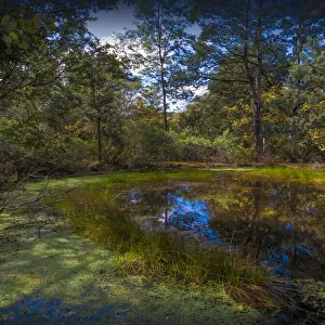 Natural pond, Cape Raoul, southern Tasmania