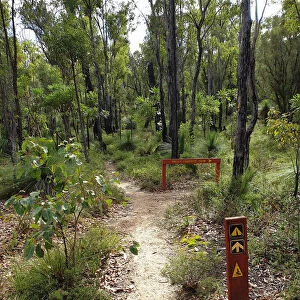 Nature Walk, Mt Cooke