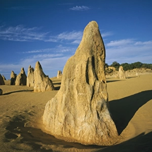 Pinnacles in Desert