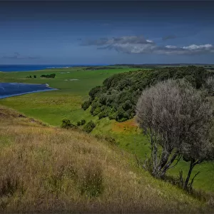 Rural view towards cape Wickham, King Island, Bass Strait, Tasmania, Australia