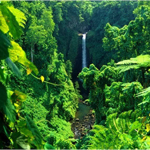 Sopuaga waterfall, The Island of Upolu, Western Samoa