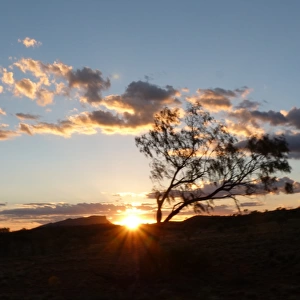 Sunset in Alice Springs, Australia
