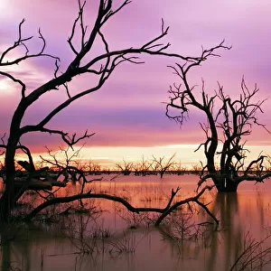 Sunset at Menindee Lakes, Outback NSW, Australia
