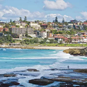 City Surrounds Collection: Bronte Beach