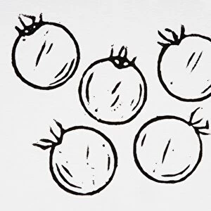 Black and white illustration of five tomatoes