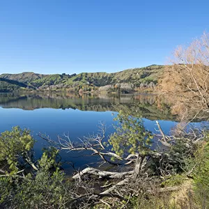 Lake Horowhenua, near Levin, Manawatu-Wanganui Region, North Island, New Zealand