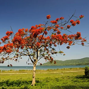 Lake Peten Itza, Peten, rainforest, Guatemala, Central America