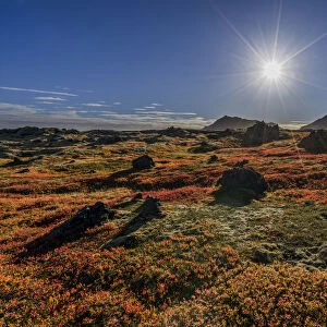 Lava and moss in the autumn, Western Iceland