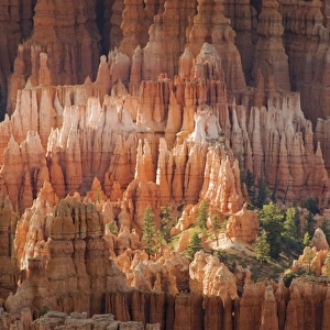 Needle Rock Formations
