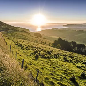 Sunset over grassland and a country road, Dunedin Beach at the back, Otago Peninsula, South Island, New Zealand, Oceania