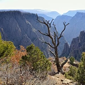 View from Tomichi Point, South Rim, to Gunnison Valley, Black Canyon of the Gunnison National Park, Gunnison, Colorado, USA