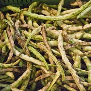 Speckled beans for sale in Limassol market, Cyprus credit: Marie-Louise Avery /