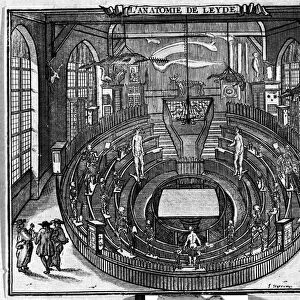 Anatomical theatre of the University of Leiden, end of the 17th century