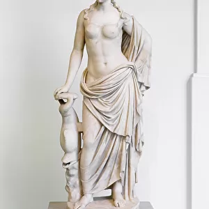 Aphrodite, marine Venus type, with dolphin, 2nd century AD, copy of a greek original from the 5th century BC (marble)