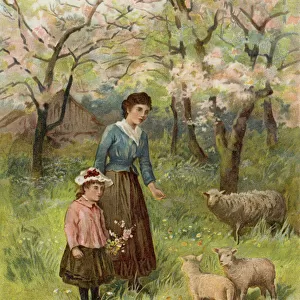 Apple Blossoms (colour litho)