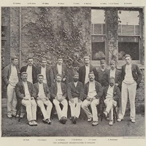 The Australian Cricket-Players in England (b / w photo)