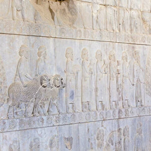 Bas reliefs at the walls of Apadana palace and staircase, Persepolis, Iran (sandstone)