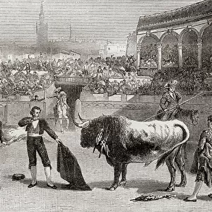 A bullfight in Seville, Spain in the late 19th century, 1884 (engraving)