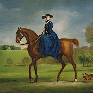The Countess of Coningsby in the Costume of the Charlton Hunt, c. 1760 (oil on canvas)