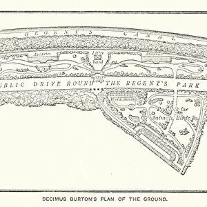 Decimus Burtons Plan of the Ground (litho)