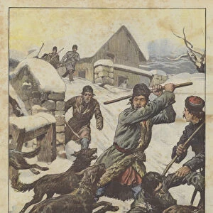 An Episode Of The Cold In Hungary, Wolves Assault The Inhabitants Of The Countryside Where The Thermometer Marks, 15 (Colour Litho)
