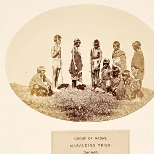 Group of Nagas, Marauding Tribe, Cachar, from The People of India, by J