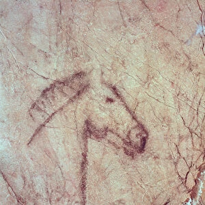 Head of a Horse, from the Cueva de la Pena de Candamo San Roman (cave painting)