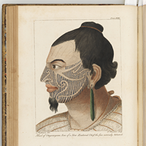 Head of Otegoongoon, illustration from A journal of a voyage to the South Seas