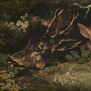 Heads of Roe Deer, 1815 (oil on canvas)