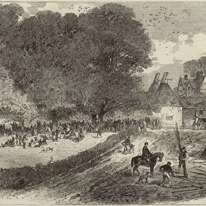 Incidents of hop gathering (engraving)