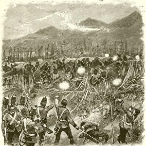 Maori War: Attack upon a Pah (engraving)