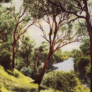 Mitchell River at Bairnsdale (colour photo)
