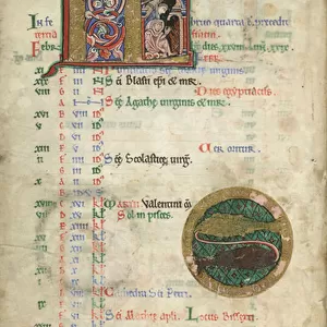 MS Hunter 229 f. 1v February, from the Hunterian Psalter, c. 1170 (pen & ink, and tempera on vellum)