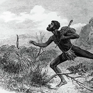 Natives (Aborigines) from Australia during bee-hunting 1863, engraving