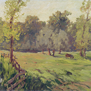 A Pasture with a Stream and an Enclosure, c. 1868 (oil on canvas)