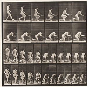 Plate 254. Kneeling, Elbows on Chair, Hands Clasped, 1872-85 (collotype on paper)