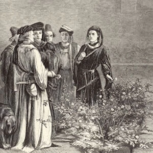 Plucking of the White and the Red Roses in the Temple Garden (engraving)
