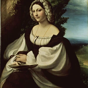 "Portrait de dame"(Portrait of a lady) Ils agirait soit de la poetesse Ginevra Rangone soit de Veronica Gambara (1485-1550), personnalites de la ville de Correggio