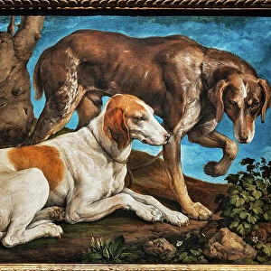 Portrait of two dogs tied to a log, 1548-50 (oil on canvas)