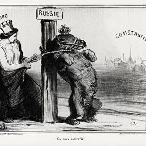Russia: a bear upset (by Europe). In March 1854 France and England formed an alliance