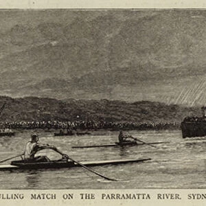 Sculling Match on the Parramatta River, Sydney, between Clifford and Hanlan, 7 February (engraving)