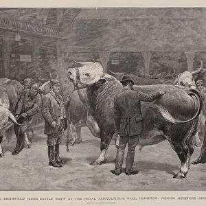 The Smithfield Clubs Cattle Show at the Royal Agricultural Hall, Islington, judging Hereford Steers (engraving)