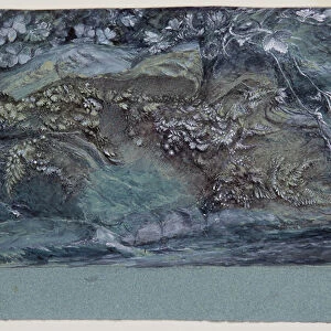Study of Moss, Fern and Wood -Sorrel, upon a Rocky River Bank, 1875-79 (pen, ink, w/c and bodycolour on paper)