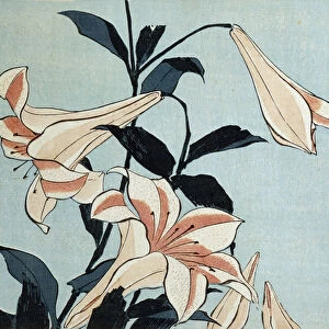 Trumpet lilies (colour woodblock print)