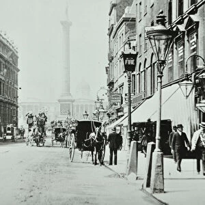 Whitehall, Westminster LB: Whitehall looking to Trafalgar Square, 1895 (b / w photo)